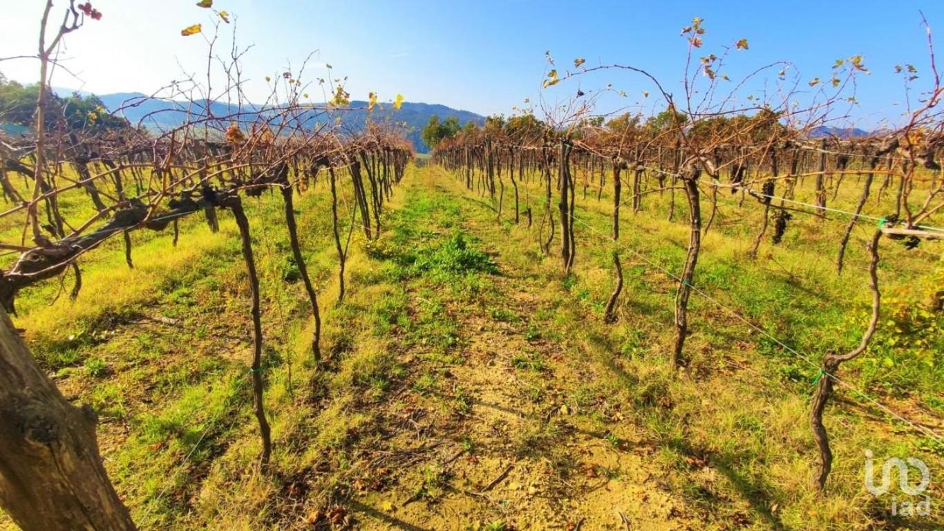 Podere Mona Pomarance Ngoại thất bức ảnh